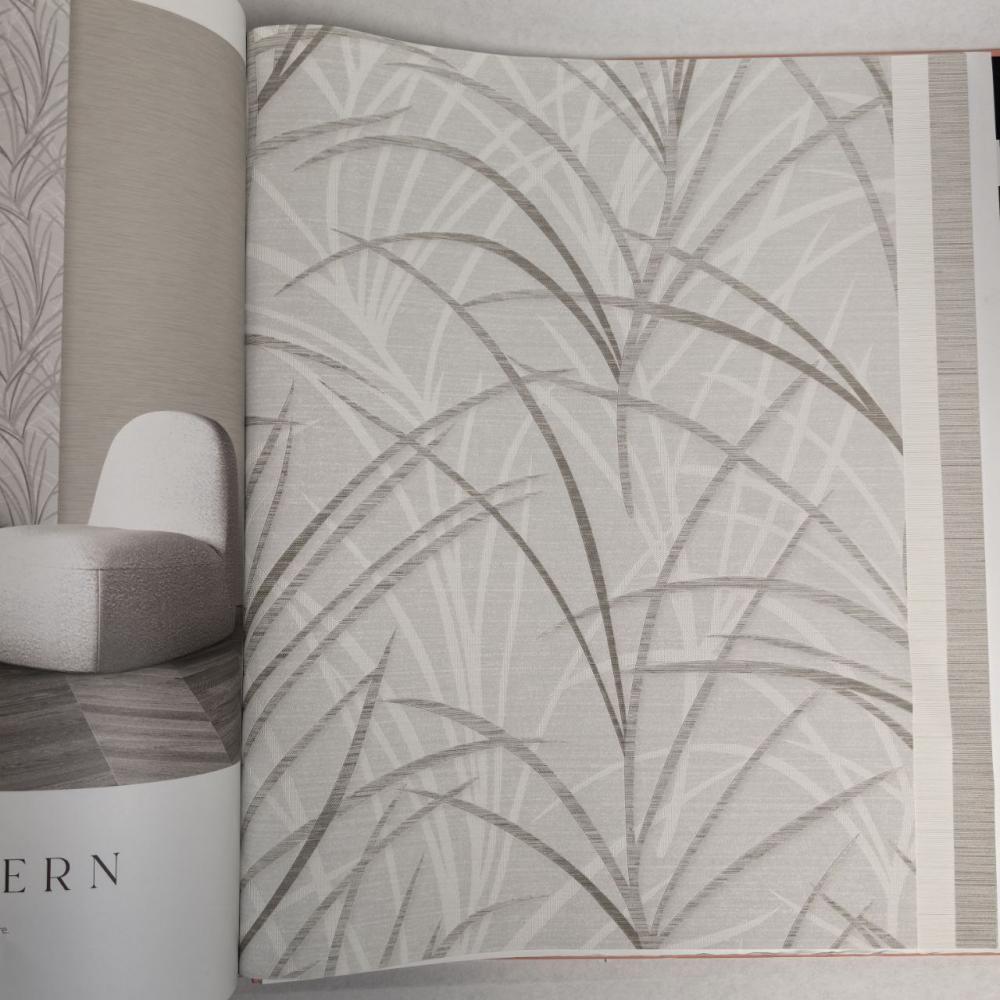 Andrea Rossi Berggi 54439-4