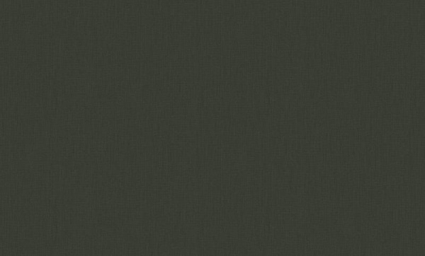 A. Grifoni Palazzo Ducale 7018-11