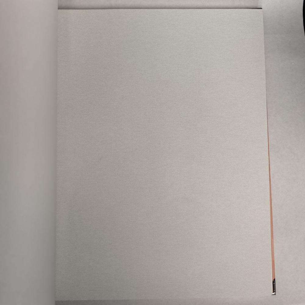 Andrea Rossi Berggi 54443-1