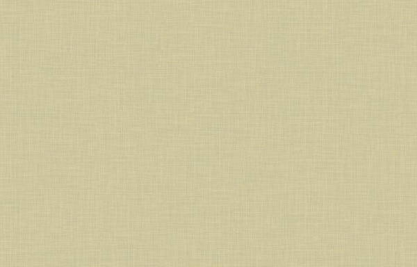 Loymina Origins ALS11 005