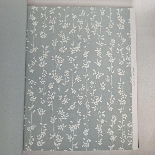 Andrea Rossi Berggi 54451-7