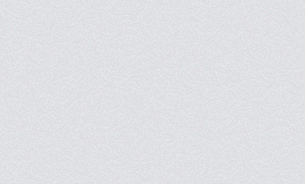 Rasch Bright Whisper W 189103