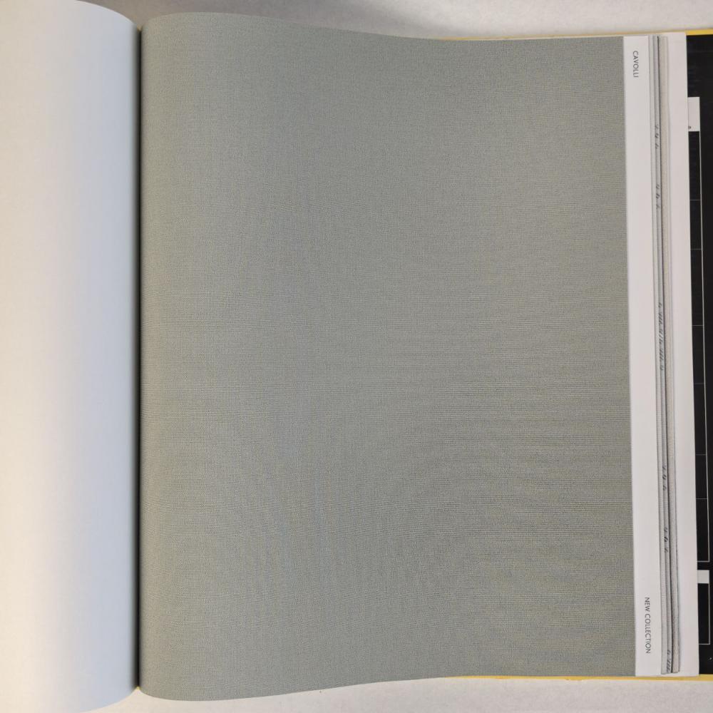 Andrea Rossi Cavolli 54416-10