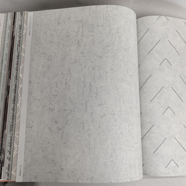 Andrea Rossi Berggi 54442-2