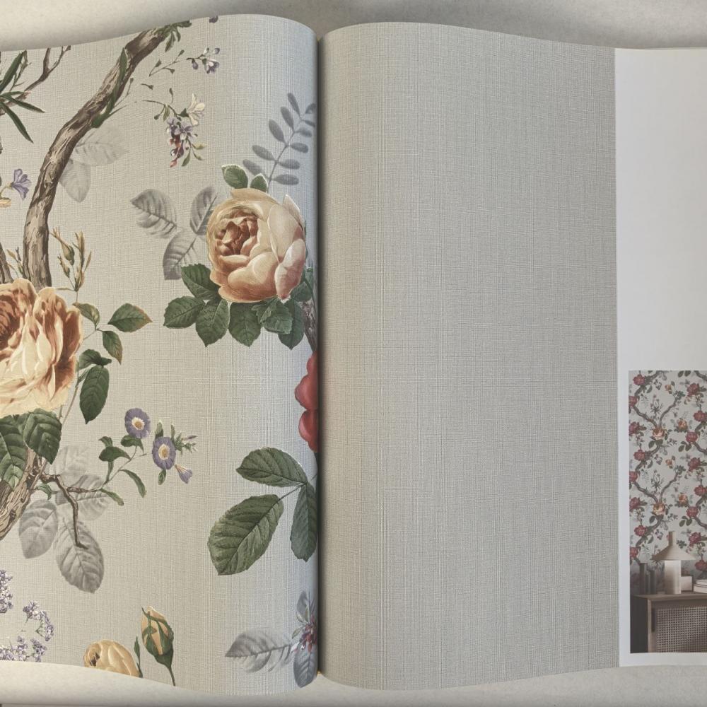 Andrea Rossi Cavolli 54420-10 Andrea Rossi Cavolli 54420-10