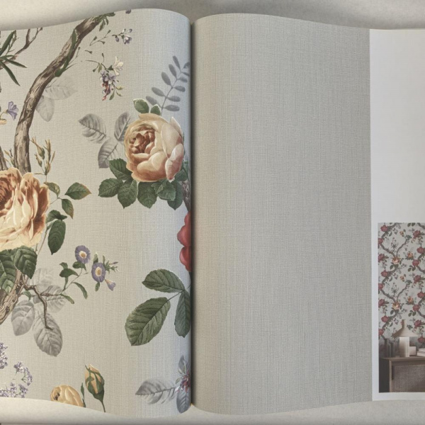 Andrea Rossi Cavolli 54420-10 Andrea Rossi Cavolli 54420-10