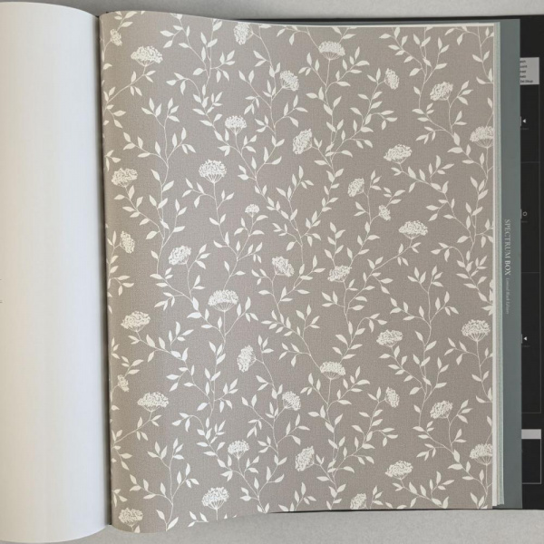 Andrea Rossi Spectrum Box 54456-3